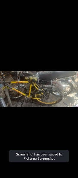 phonex willing bicycle yellow and black colour 2