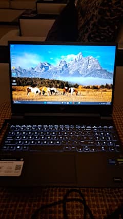 Hp Victus 15 (i5 12th Gen with Gtx 1650)