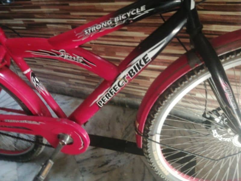 bicycle for sale urgent sale 5