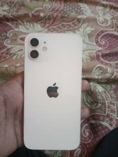 apple iphone 12 non pta 128 GB physical dual white color
