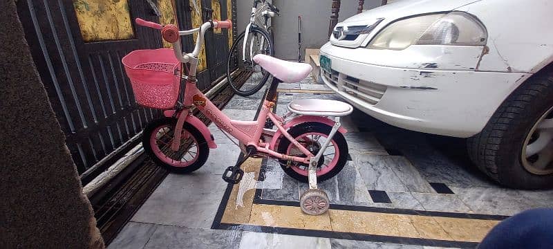 Imported Bicycle for Sale 1
