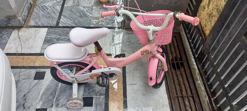 Imported Bicycle for Sale 2