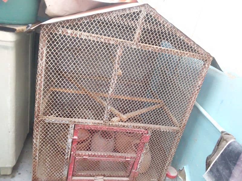 Cage For Hens, Birds , Australian etc 2