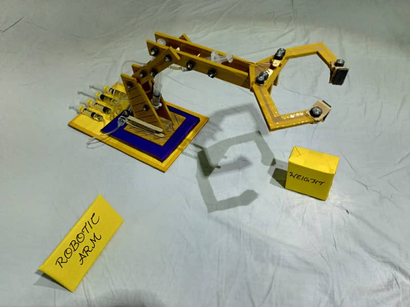 Robotic Arm Science Project 0