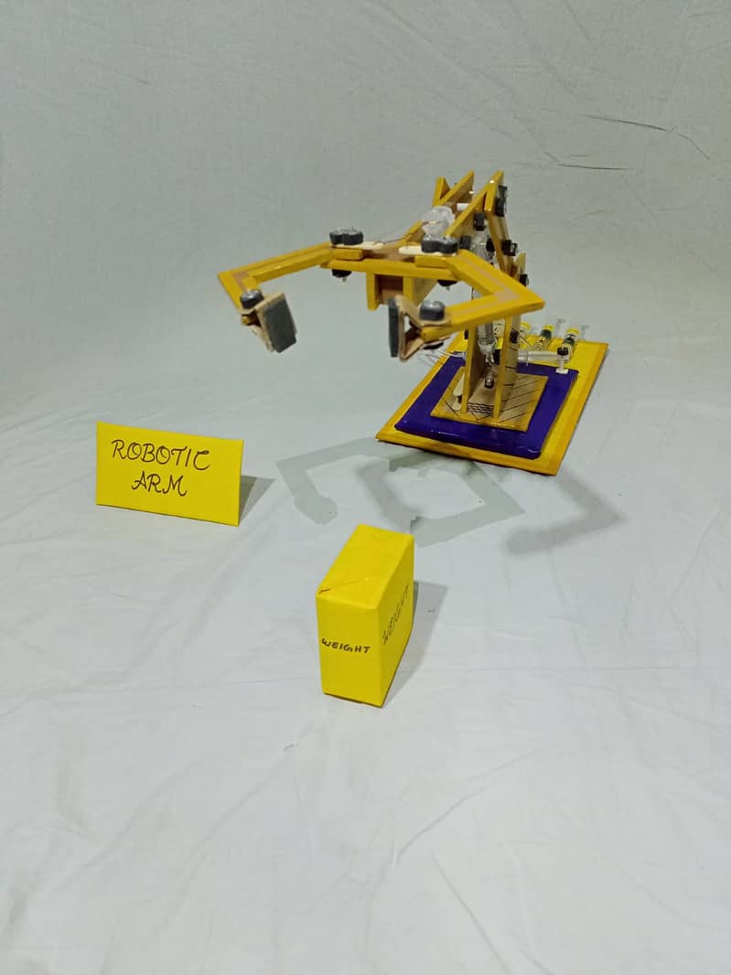 Robotic Arm Science Project 3