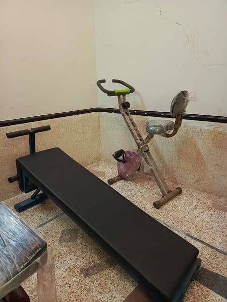 All Gym equipment for sale(03008303950) 14