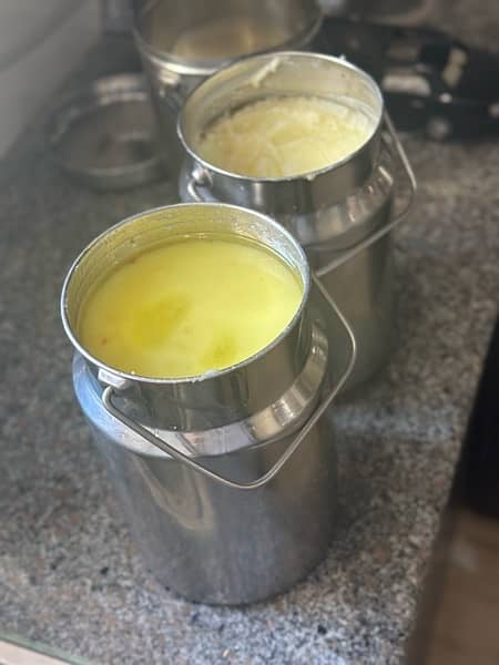 pure desi ghee from bhans milk is available for sale 1