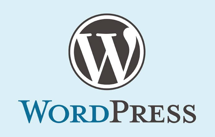 wordpress Website for sale 1