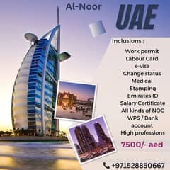 Dubai Freelance Own Company Visa.