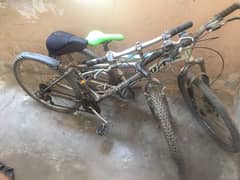 shmano cycle for sale