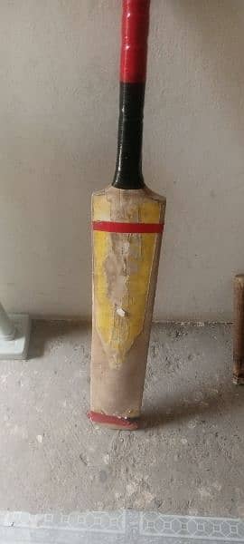 cricket bat 5