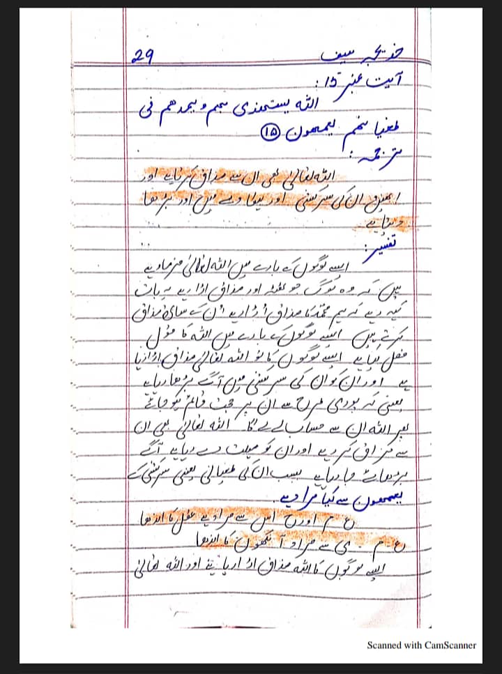 Professional urdu & English Assignment work in low cost 11