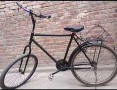 phoenix bicycle 0