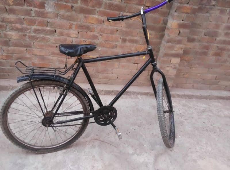 phoenix bicycle 1