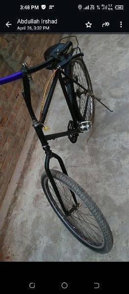 phoenix bicycle 2