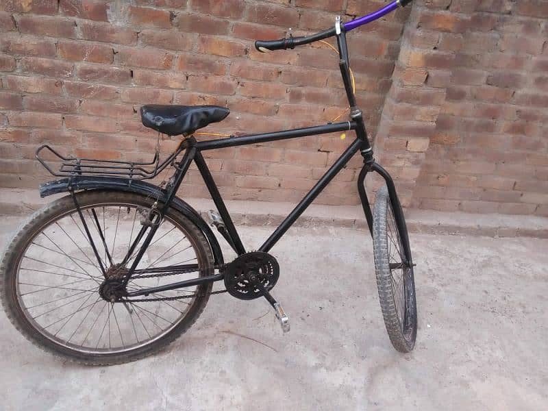 phoenix bicycle 3