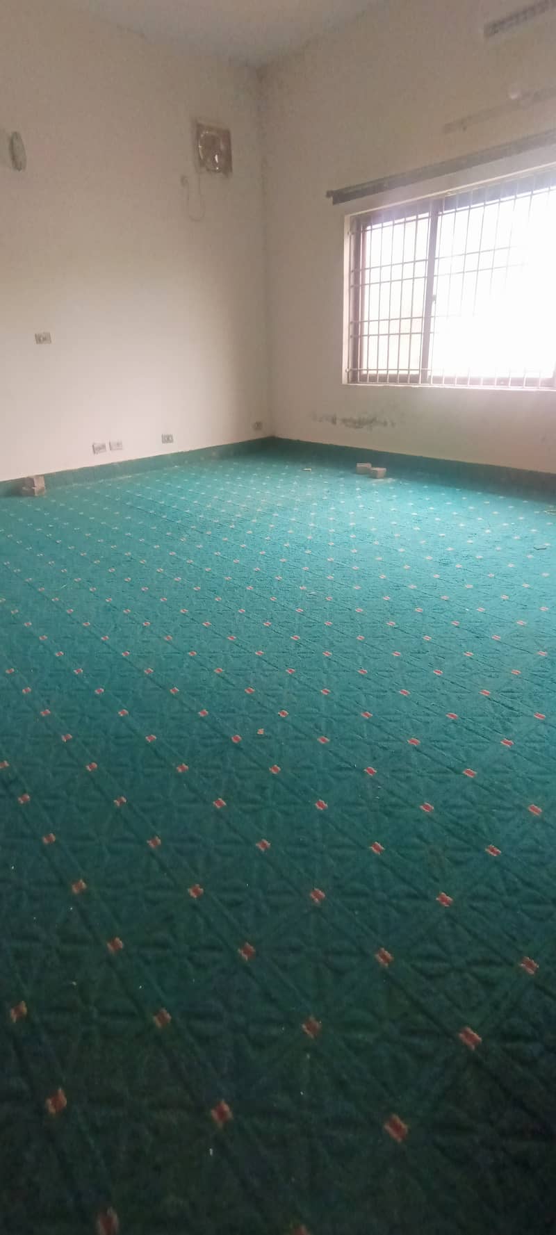 Imported Carpets for Sale 1