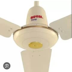 two ceiling fans