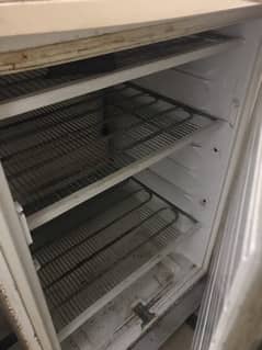 scandinova deep freezer