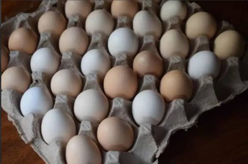 desi eggs 0