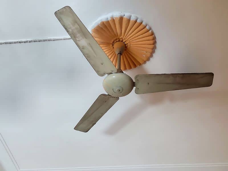 Pak Fan ceiling fan antique powerful air throw best Quality noiseless 1
