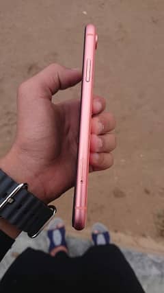 iphone xr best for Pubg lover