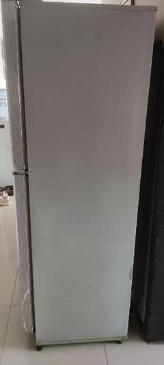 PEL full size refrigerator fridge