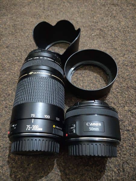 Canon 200D With Canon 50mm and 75-300mm lenses 5