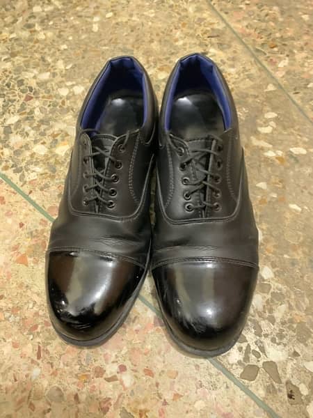 Formal Oxford Shoes 1
