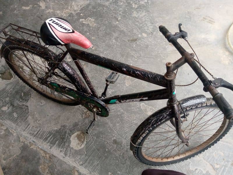 Cycle urjent for sale 1