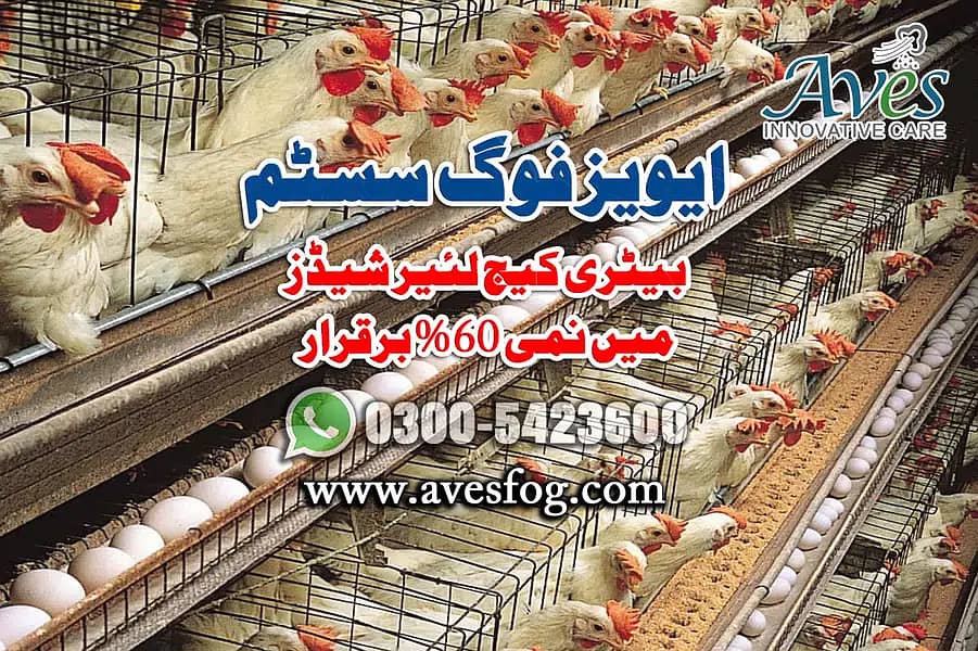 Nami wala system/water spray mist system/Humidity in poultry farm 15