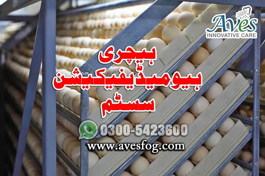 Nami wala system/water spray mist system/Humidity in poultry farm 16