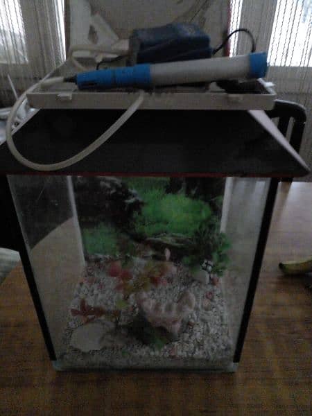 Aquarium for sale small size with pump 2