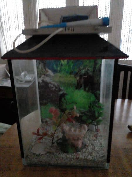 Aquarium for sale small size with pump 4