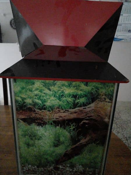 Aquarium for sale small size with pump 6