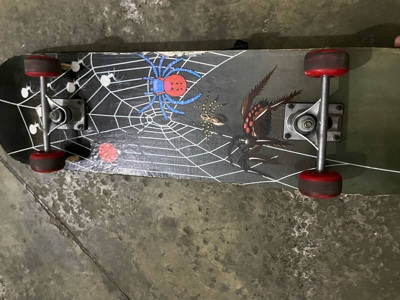 Skateboard for Sale 4