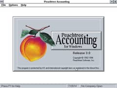 Accountant  (Working On Peachtree Accountun Siftware)