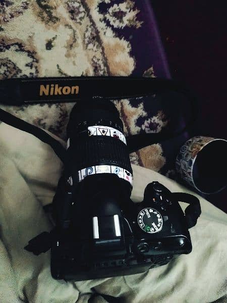 nikon D5100 with 70-300 lens 0