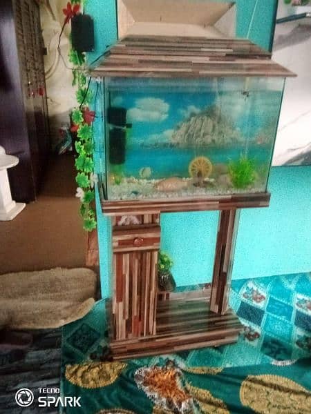 fish aquarium 3