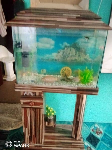 fish aquarium 4