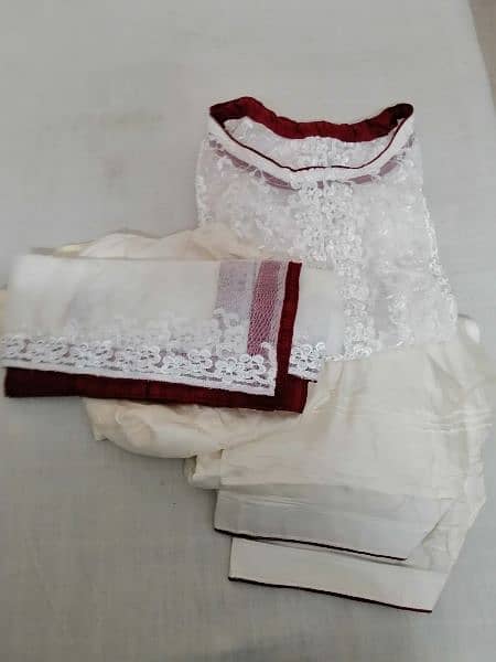 4 Piece Stitched Organza Dress 1
