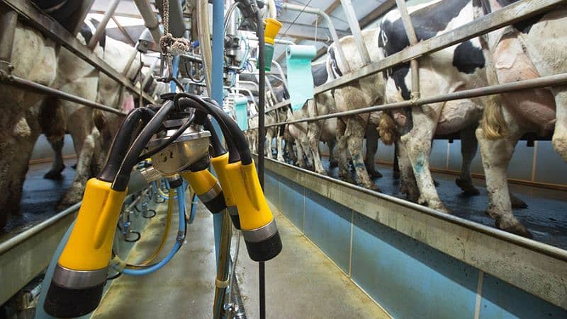 All Milking Machines available and paler Dairy Farming 2
