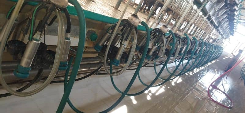 All Milking Machines available and paler Dairy Farming 4