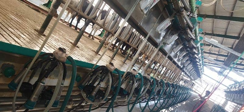All Milking Machines available and paler Dairy Farming 5