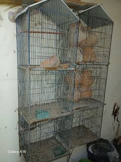 2 birds birds cages with handia