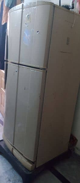 PEL Refrigerator Full Size 4