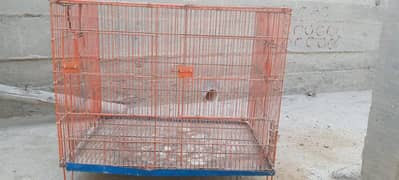 cage for sell bilkul ok pice h whatsap 03102559814