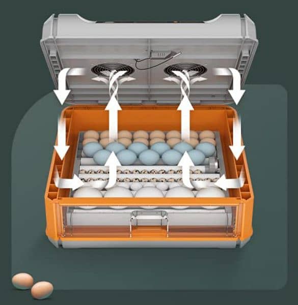 64 egg auto incubator 4