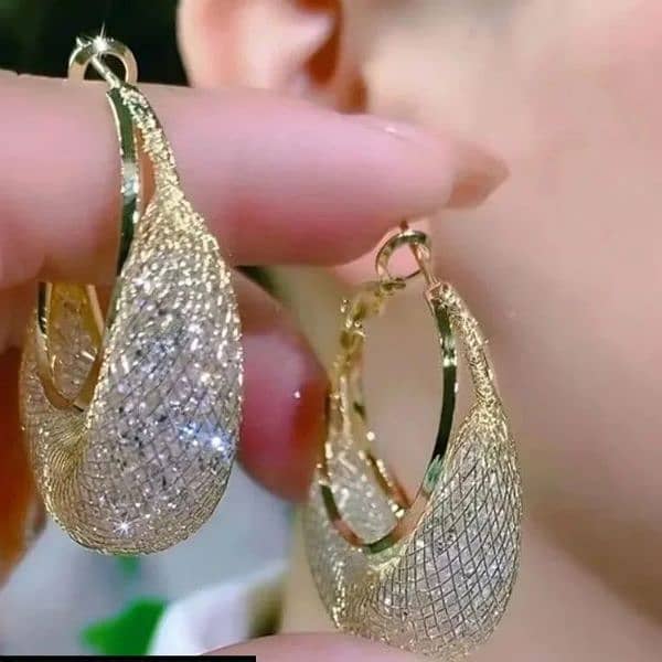 beautiful Mesh & Zircone Drop Earrings 1