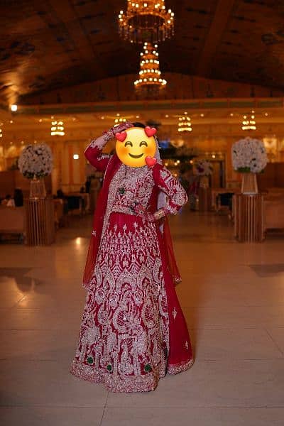 New Bridal Dress/Wedding Dress/Bridal Lehnga 0